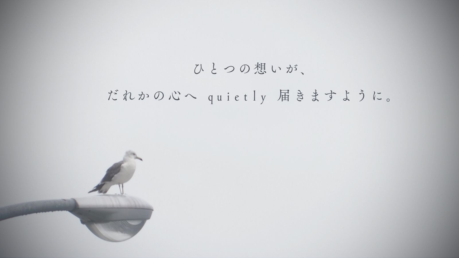 ひとつの想いが、だれかの心へ quietly 届きますように。