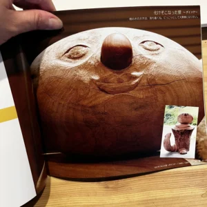 田中 茂展 化けそこなった狸 図録 表紙