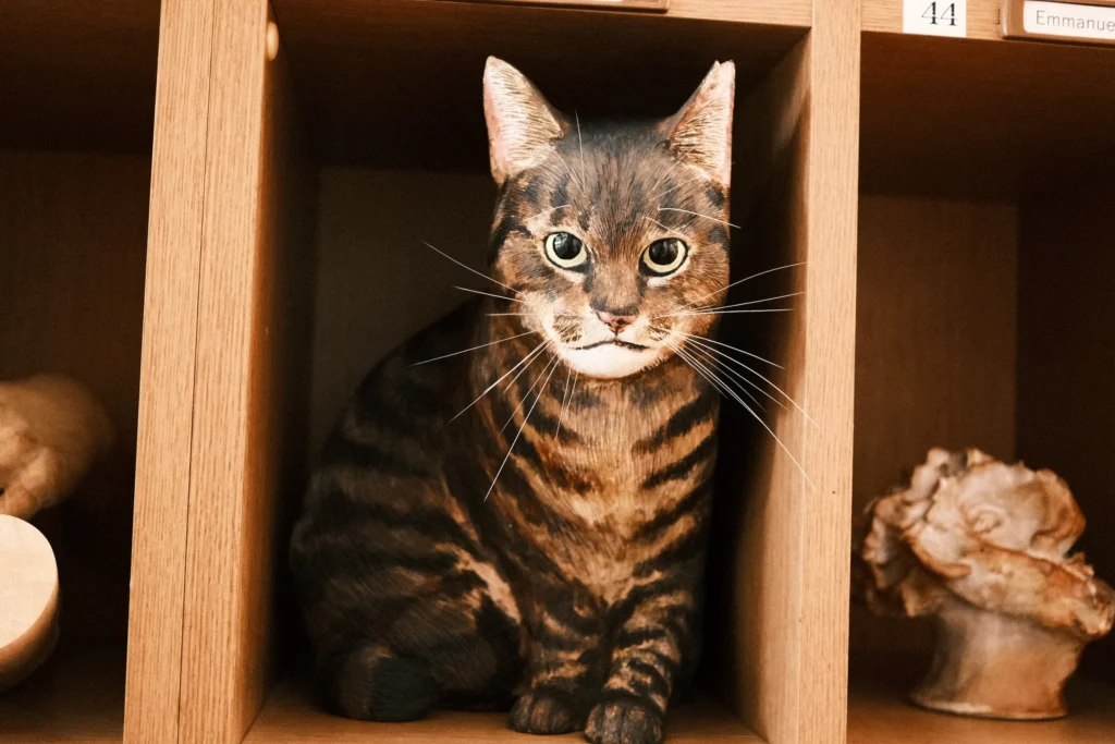 内田充「馴れない猫」クローズアップ、細やかな表情と耳先カット